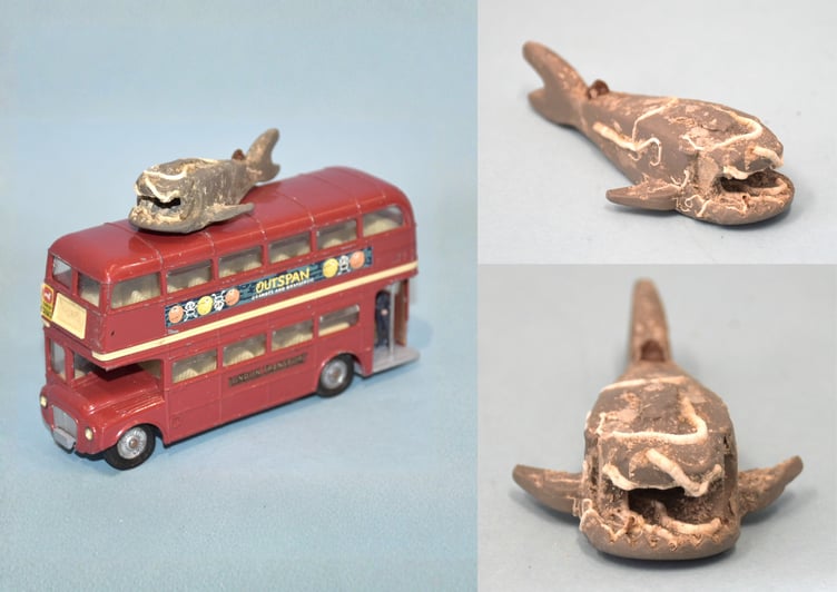 LEGO Shark found by Devon fisherman, 30 years after going overboard the Tokio Express.