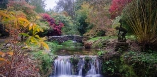 Lukesland Gardens reopens with art exhibition