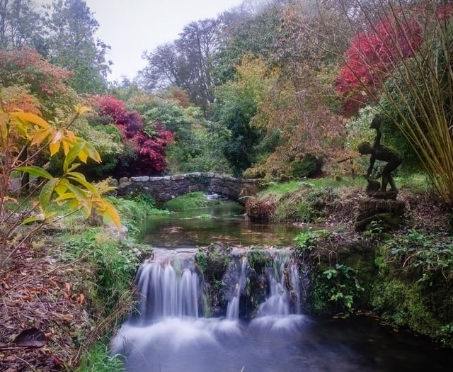 Lukesland Gardens reopens with art exhibition