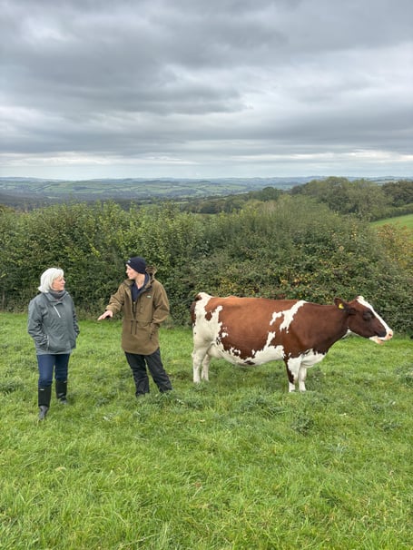 South Devon MP Caroline Voaden visiting farm.
