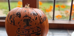 Coleton Fishacre welcomes Lady Butternut and Sir Gourdon