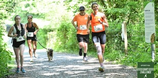 Run the Dart Challenge to support playground fundraiser