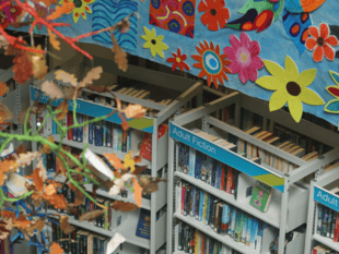 A decade of stories: Devon’s library service celebrates 10 years