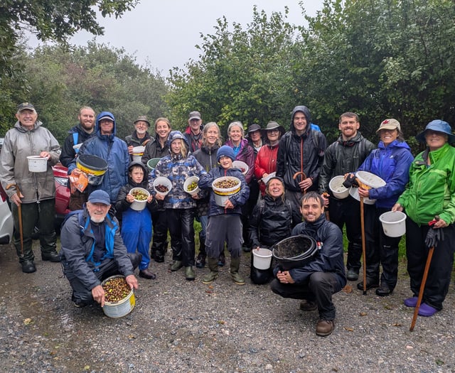 Moor Trees Volunteers Gather 343,500 Seeds