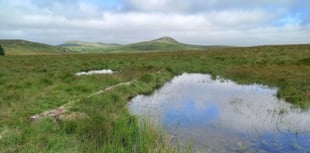 South West Water launches £2m Nature Recovery Fund 