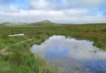 £2m Nature Recovery Fund goes live in SW