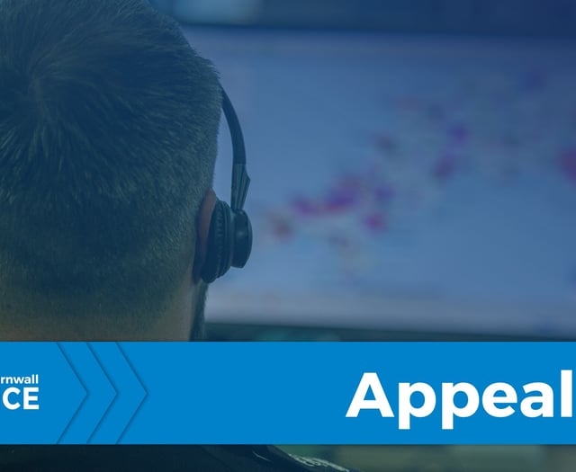 Witness appeal after Plymouth assault