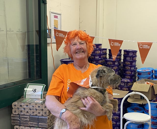 Rosie Barrett dyes hair for cancer cause