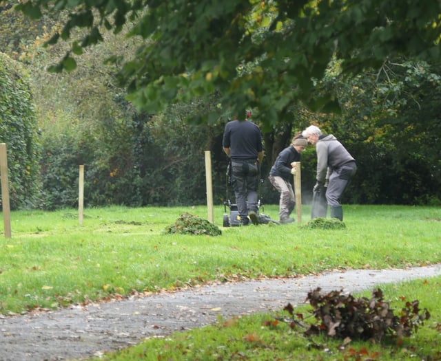 South Hams District Council sows seeds for urban wildlife meadows