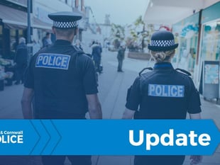 Police appeal for witnesses after serious assault in Plympton park