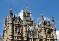 South Devon's top petitions this week