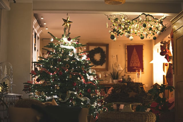 Rowcroft Hospice's eco-friendly Christmas tree recycling returns