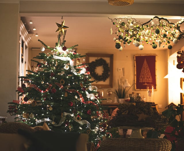 Rowcroft Hospice's eco-friendly Christmas tree recycling returns