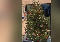 Selworthy Vets' touching Remembrance Christmas tree