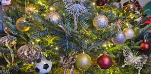 Totnes family disco wins hearts in festive competition