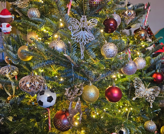 Totnes family disco wins hearts in festive competition