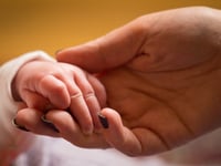 Births in Plymouth Hospitals Trust fell by more than two-thirds