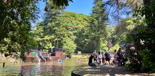 River Dart Country Park celebrating 50th anniversary