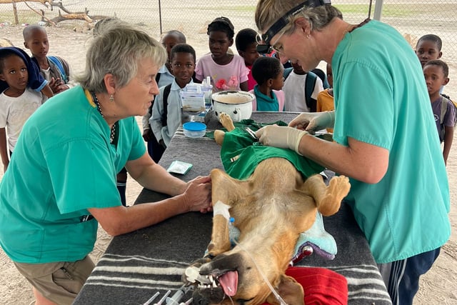 Lilly Cross' Botswana Vet Trip