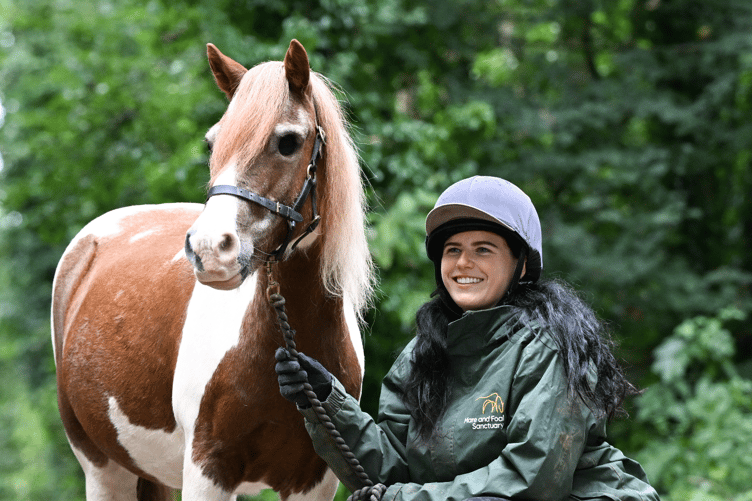 Mare and Foal Sanctuary