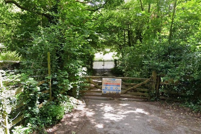 Devon MP: Reform UK's water industry