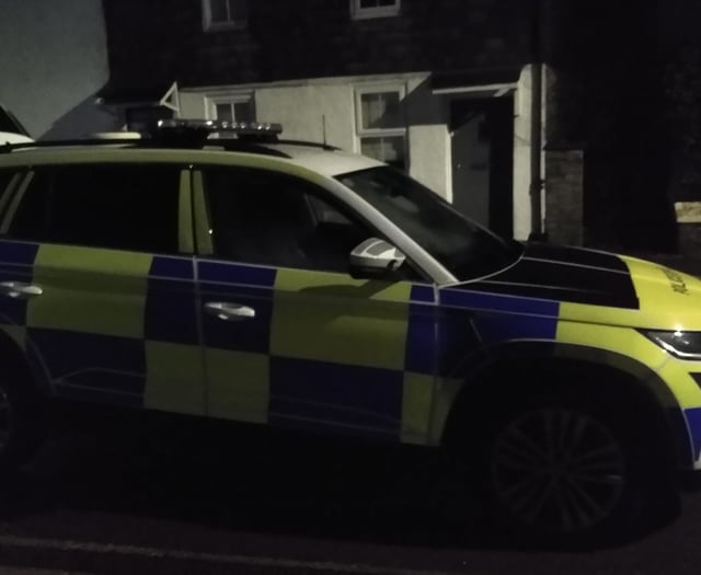 Police helicopter and drone used in Kingsbridge operation