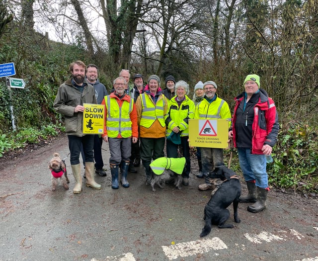 Volunteers help toads cross roads