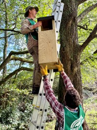 Owl Box - Photo Credit Force4Nature
