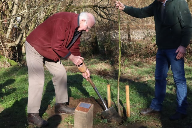 Tree warden celebrated with ceremonial tree planting
