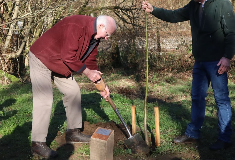 Tree warden celebrated with ceremonial tree planting