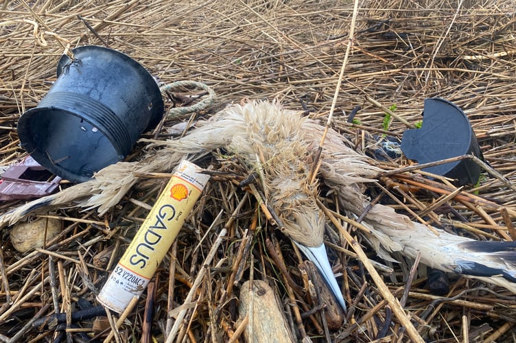 Gannet & Pollution Source Gary Jolliffe