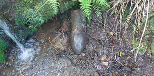 Three empty bombs found dumped in Hemerdon stream