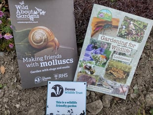 Wildlife gardening: Fiona van Es' checklist
