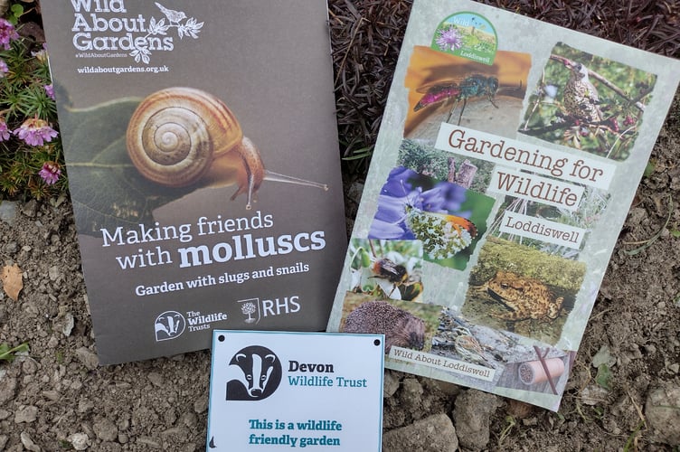 Wildlife gardening tips and rewards