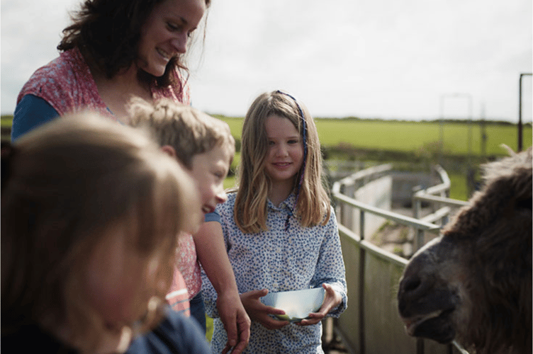 Visitors feeding farm animals at East Soar Farm