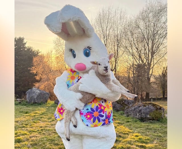 Four South Hams attractions to see baby animals this Easter