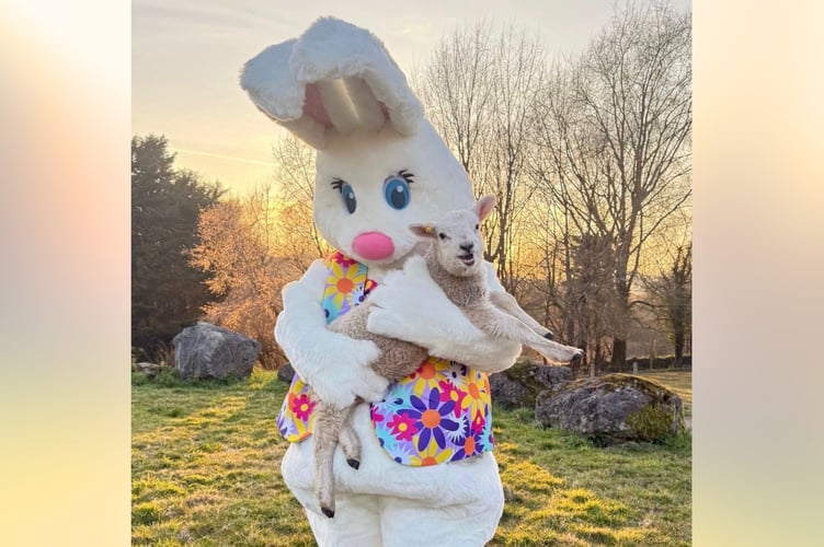 Easter at The Shire Horse Centre Farm.