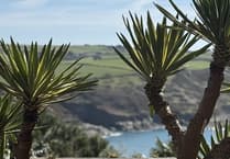 Visit Salcombe's scenic Overbeck's Garden