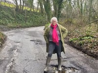 Devon councillor urges communities to help fix pothole pandemic