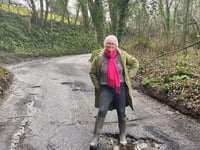 Devon councillor urges communities to help fix pothole pandemic