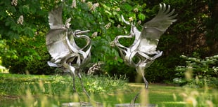 Delamore arts exhibition: The largest contemporary art event in the SW