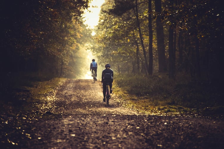 Dart Valley Cycle trail granted official charity status - Image by Jolanda L from Pixabay