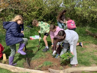 Blackawton School's Eco Earth Day