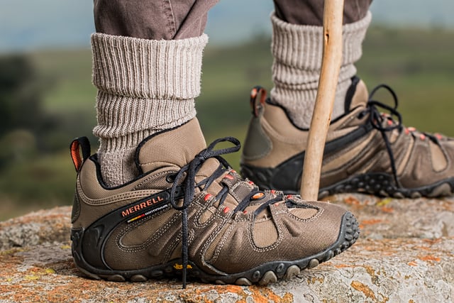 Devon charity walk attracts massive interest