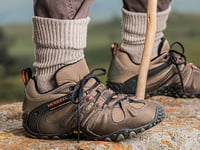 Devon charity walk attracts massive interest