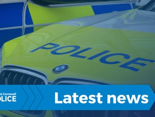 Witnesses sought after assault outside Plympton Academy
