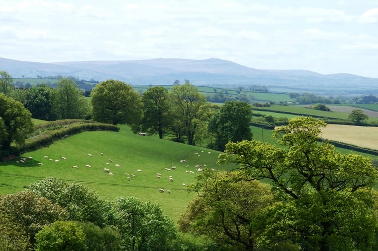 A view of Dartmoor on the Two Moors Way from Morchard Bishop.
