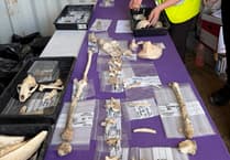 Ancient Burial Site Found in Sherford