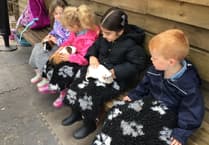 Nursery children meet animals at Totnes Rare Breeds Farm