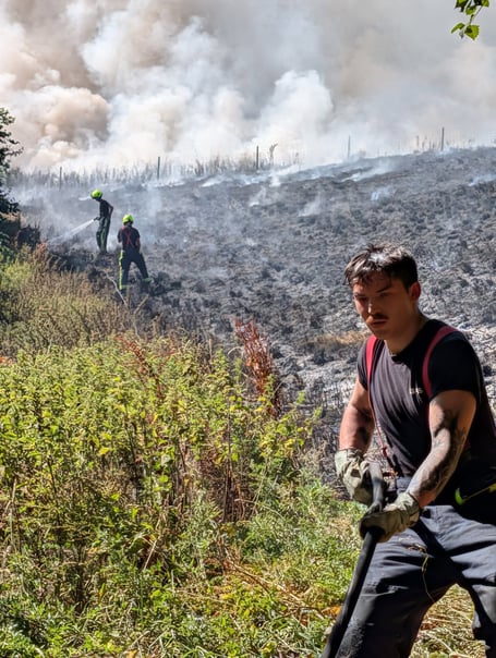 Dealing with a wildfire